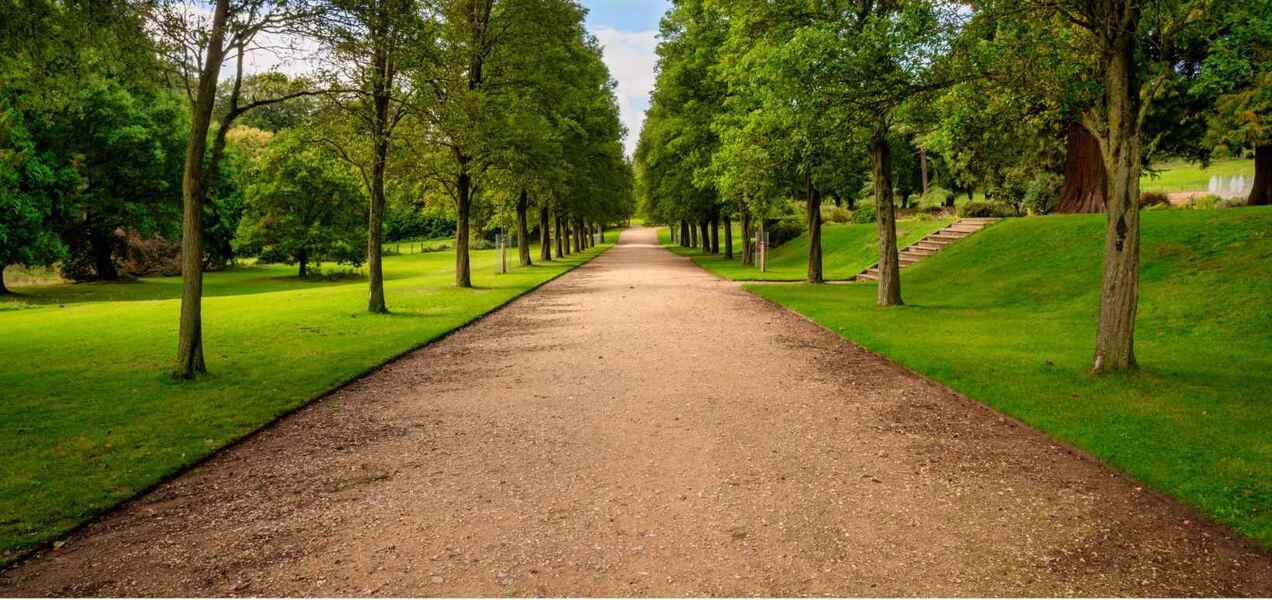 Path surrounding by trees and greenery