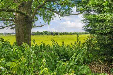 4 bedroom semi detached bungalow for sale