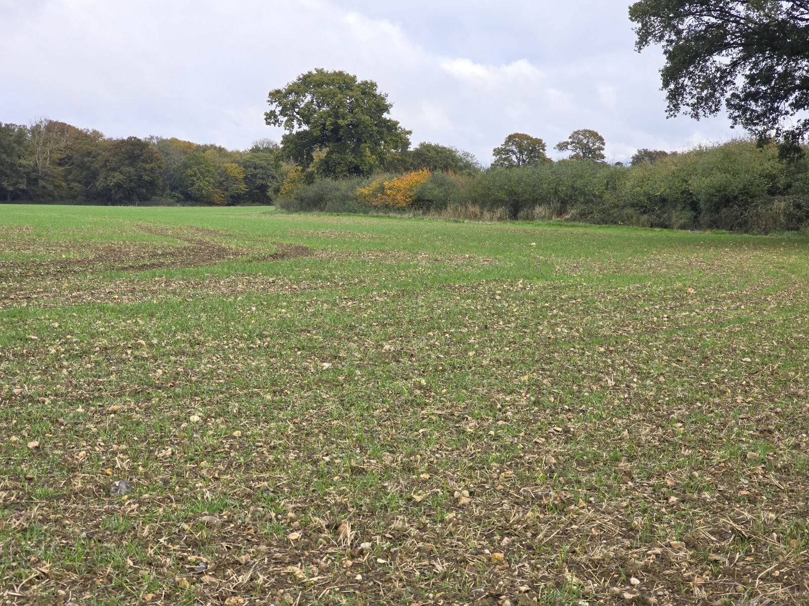 Land for sale Bishops Green, Dunmow, CM6, main image